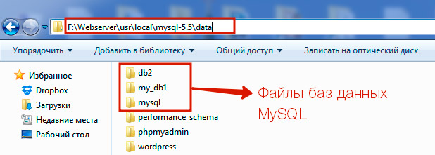 Mysql где хранятся базы данных в windows 10