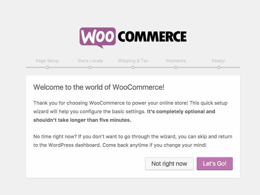 Добавление пользовательских полей в описании товара с помощью WooCommerce